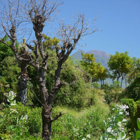 Photo de Bali - Amed